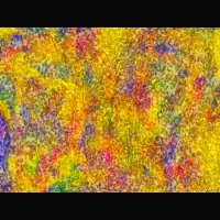 Meadow (2025)