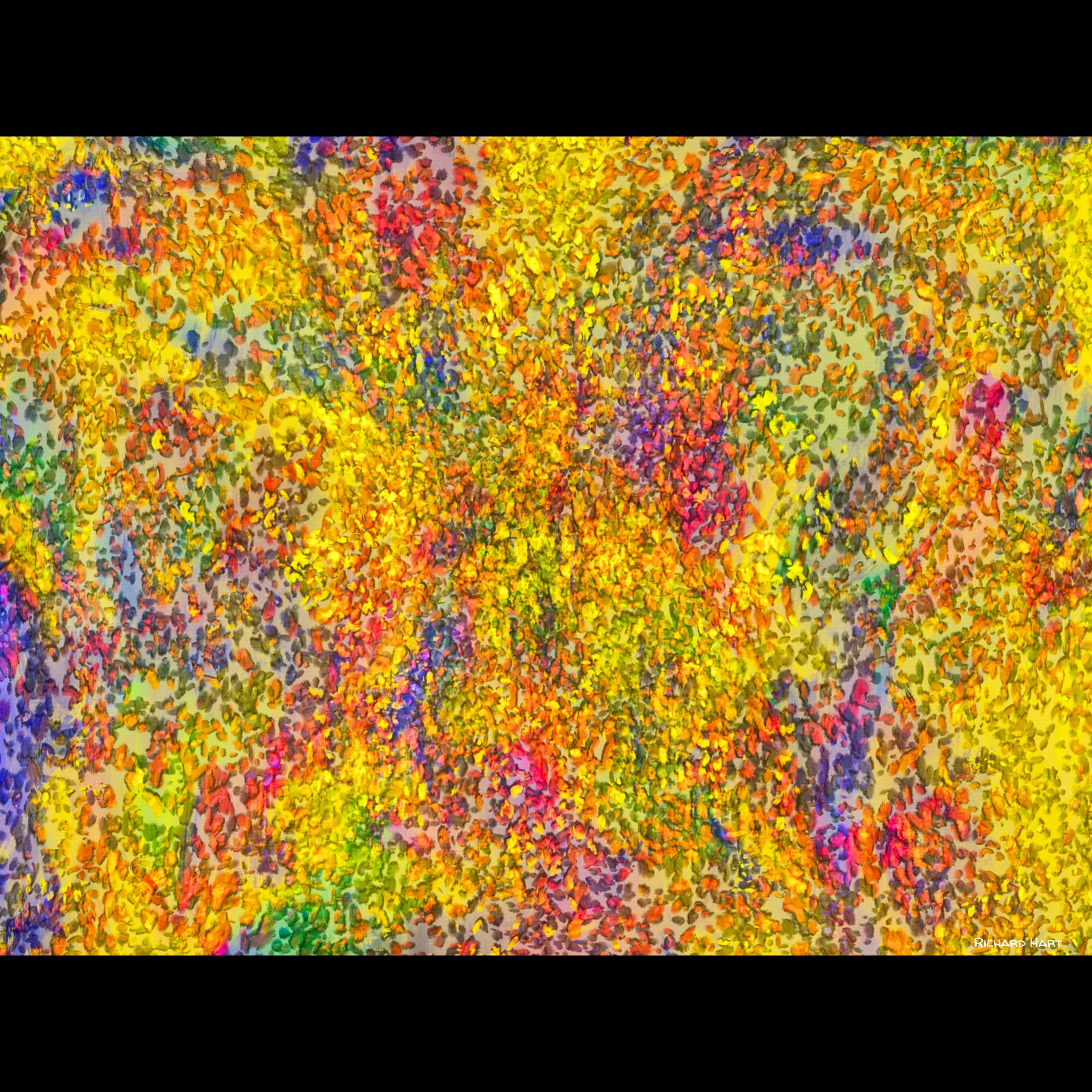 Meadow (2025)