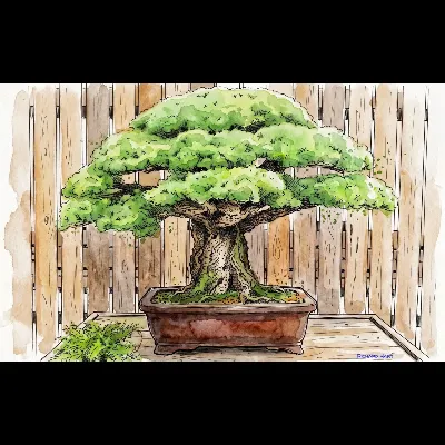 Bonsai 053 PWC