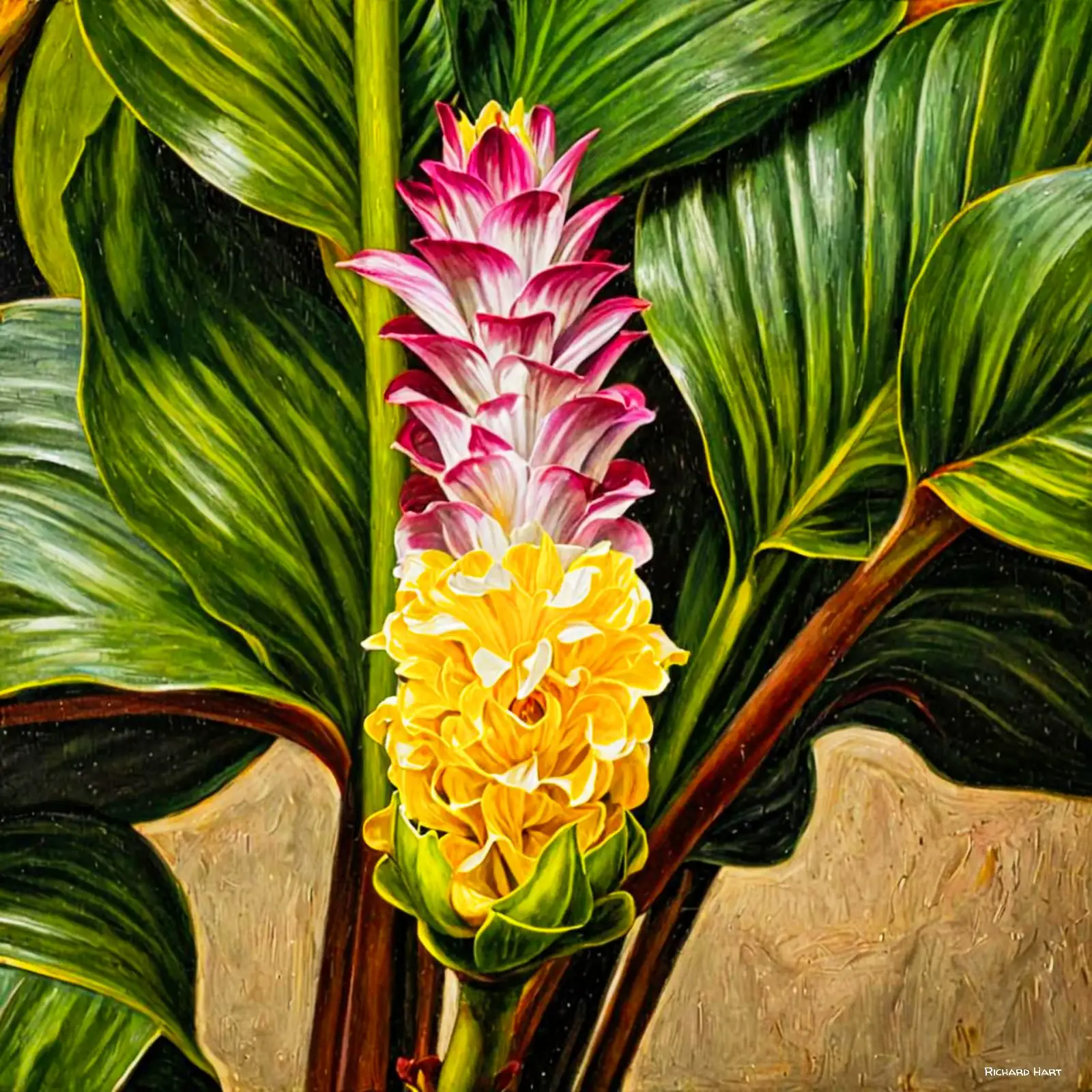 Hawaii Ginger 109