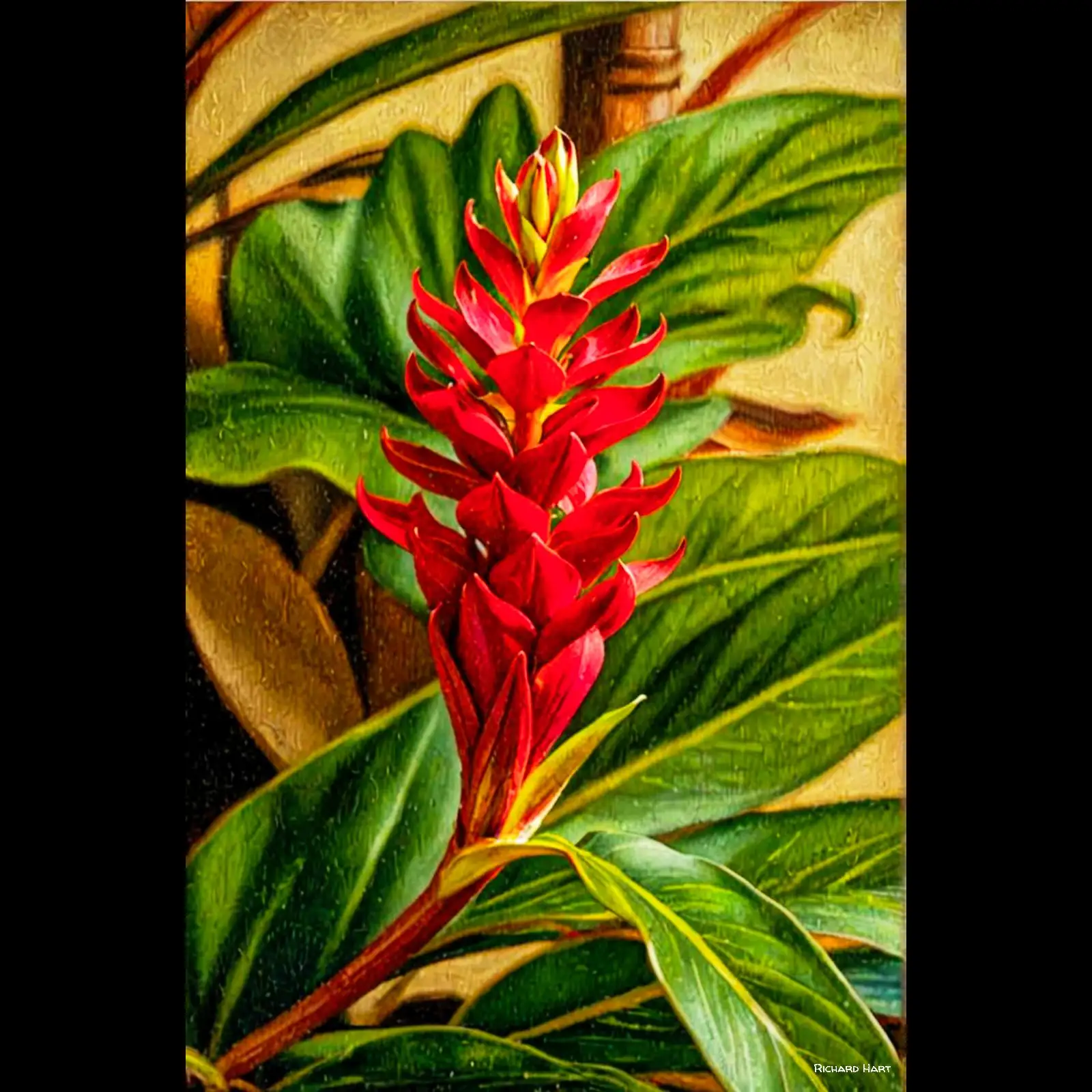 Red_Ginger_129