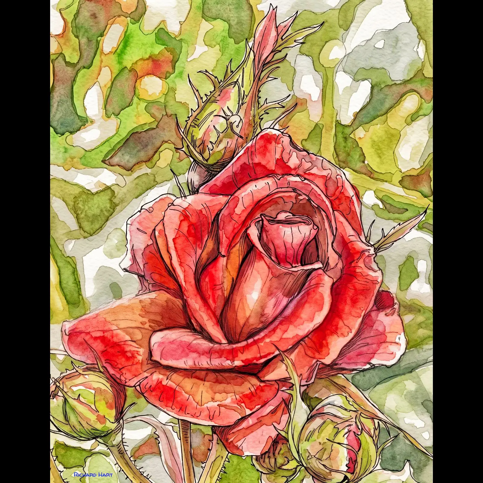 Red_Rose_RR_PWC