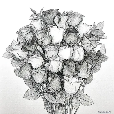 Rosa Cotura