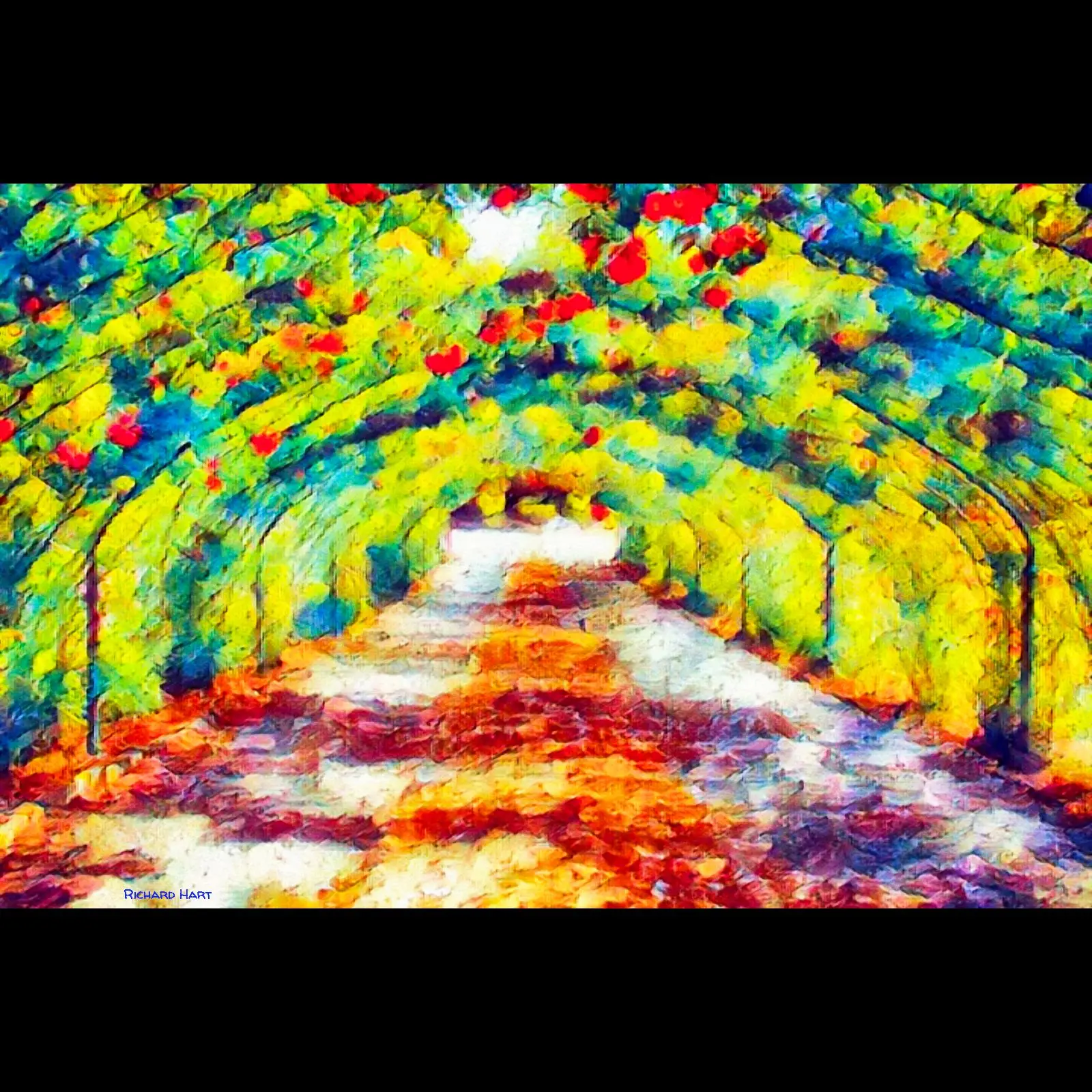 Trellis1_CP