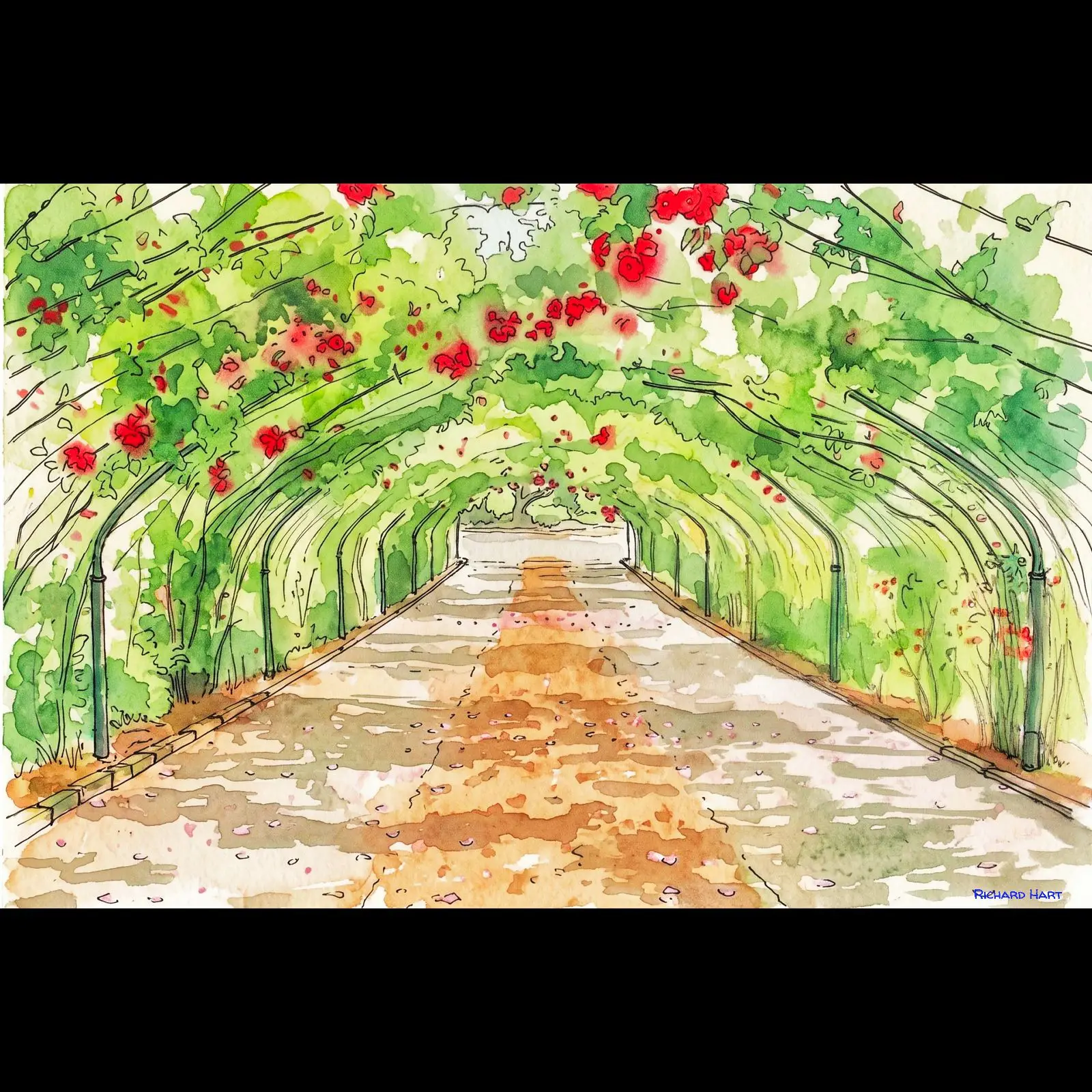 Trellis1_PWC
