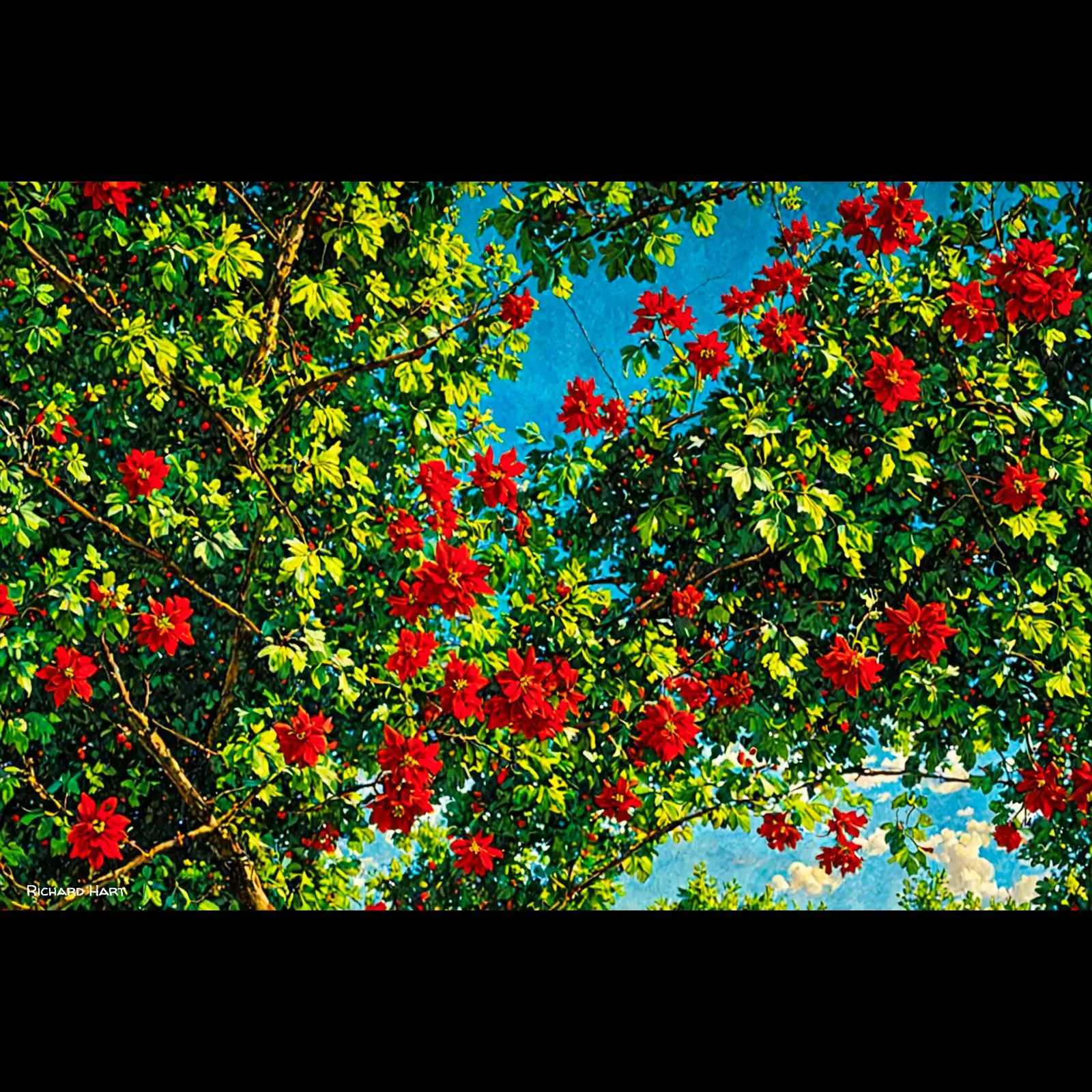 Trellis2_AC