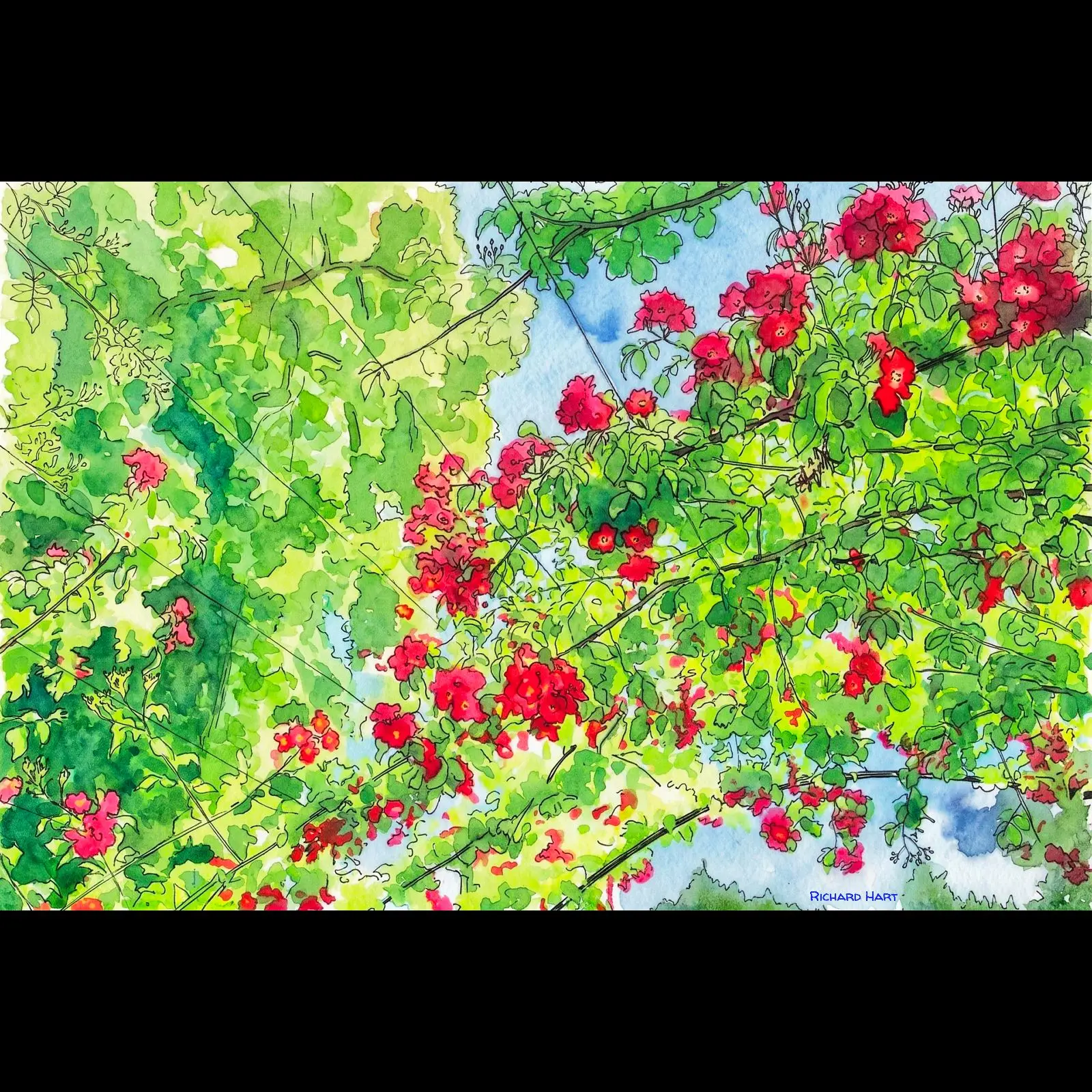 Trellis2_PWC
