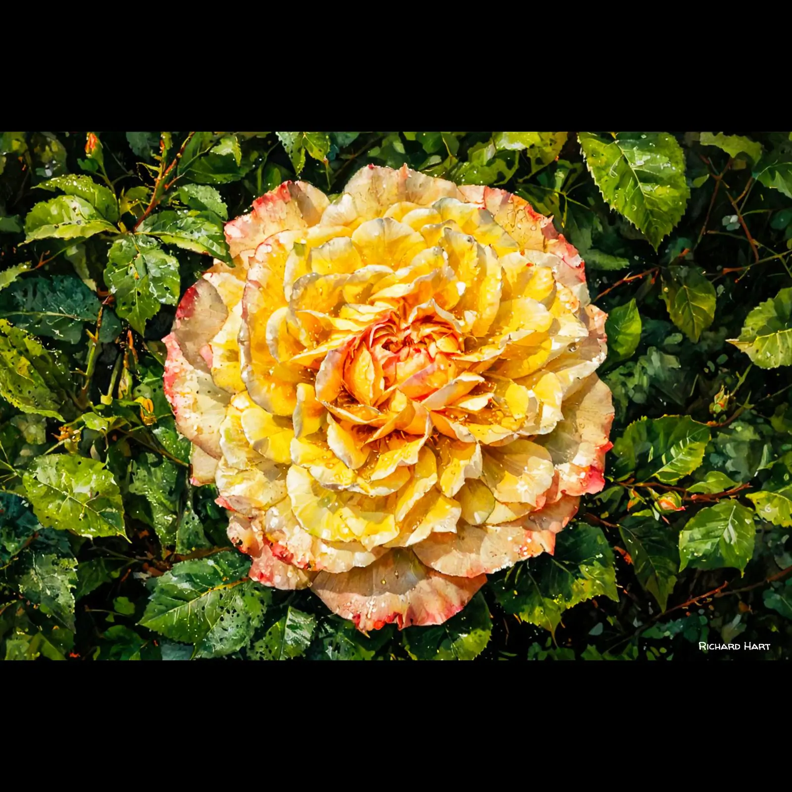 YR_24_AC
