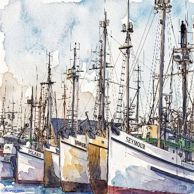 F/V Halibut Schooners
