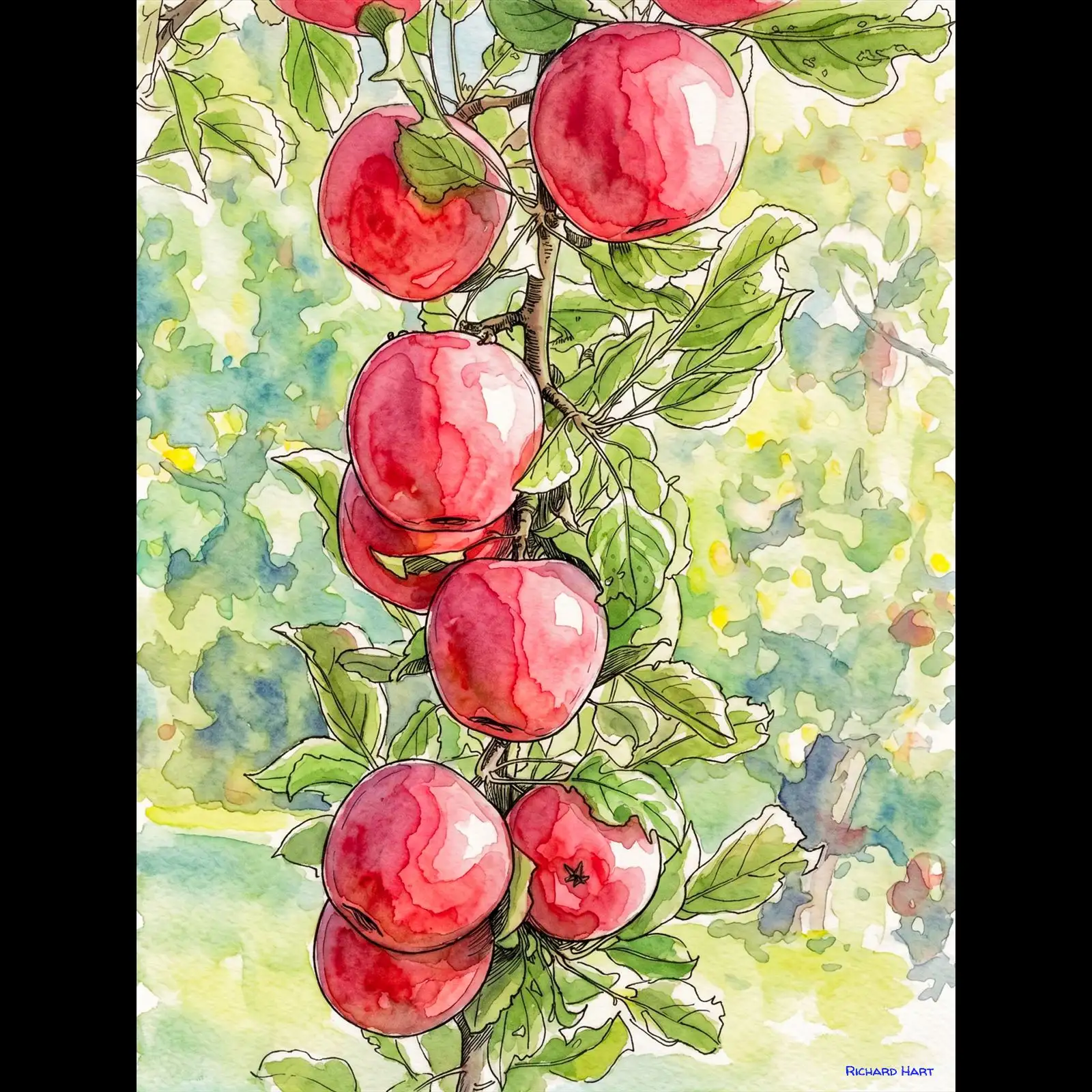 apples