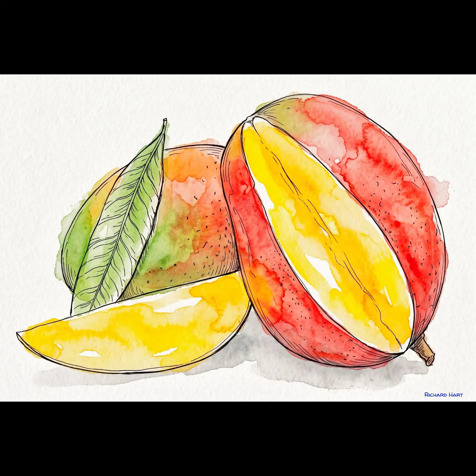 apricot