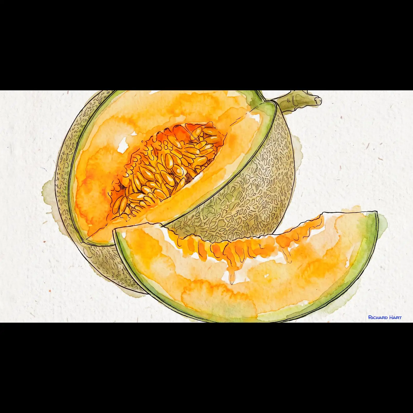 canteloupe