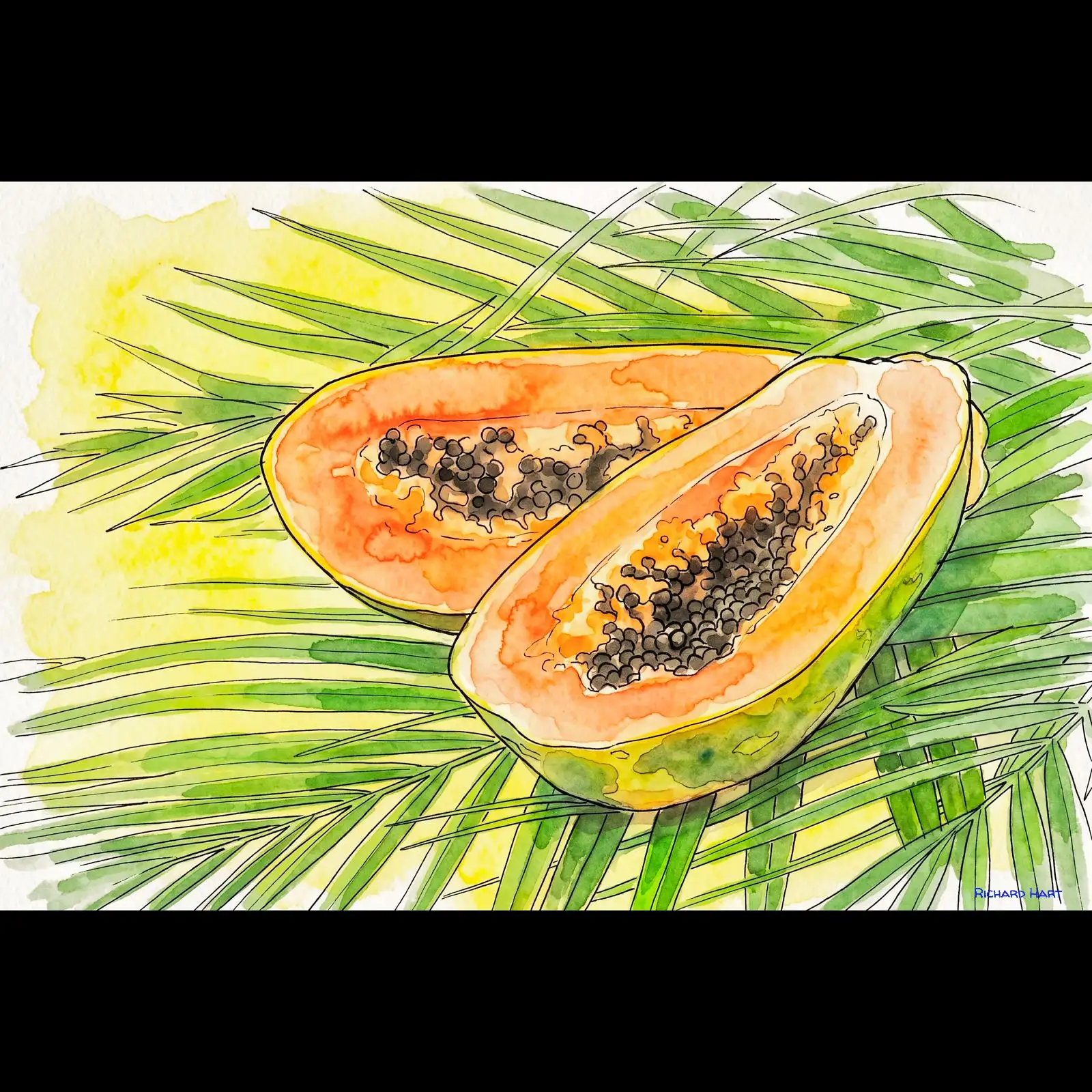 papaya