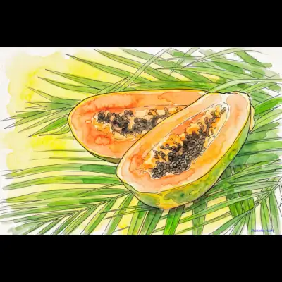 Papaya