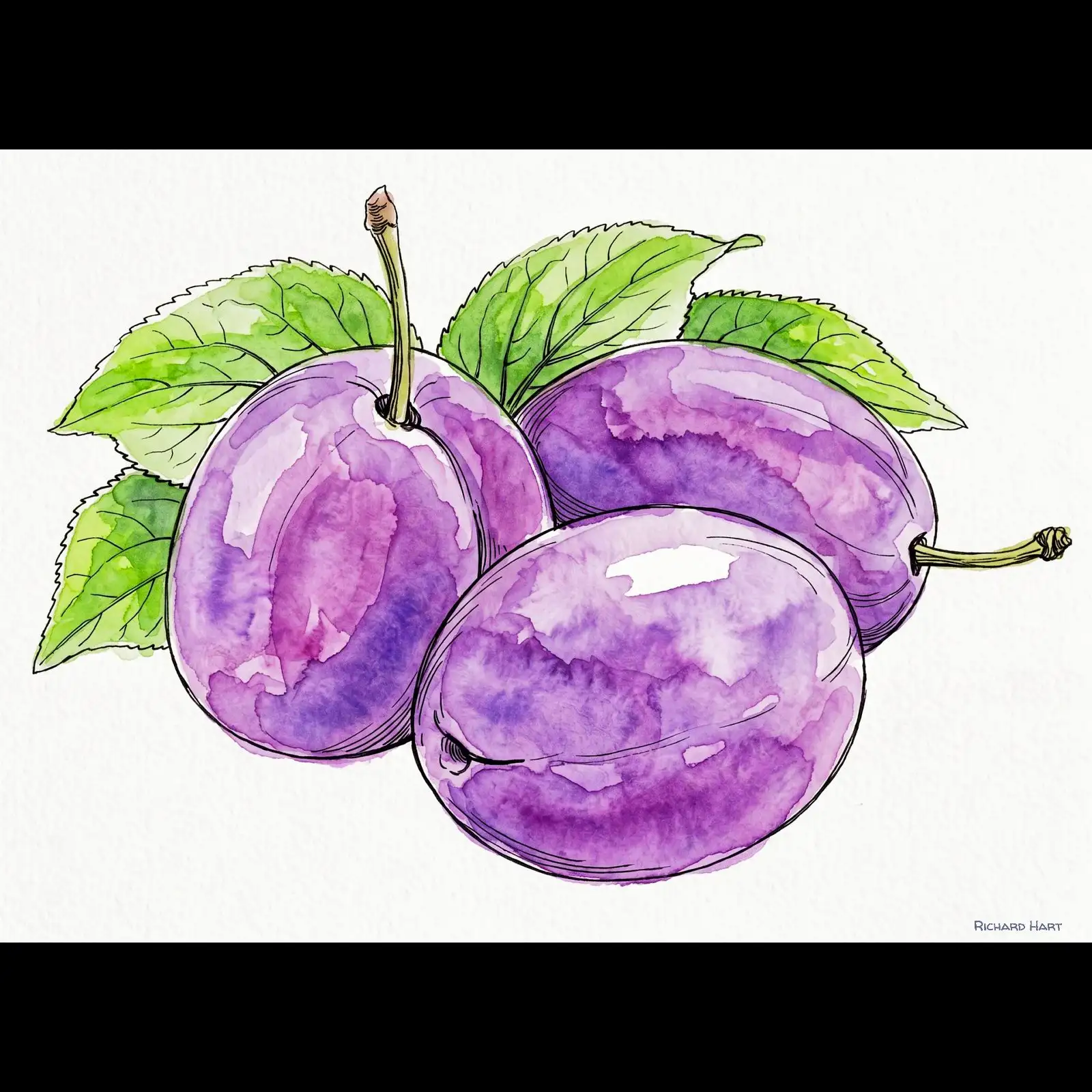 plums