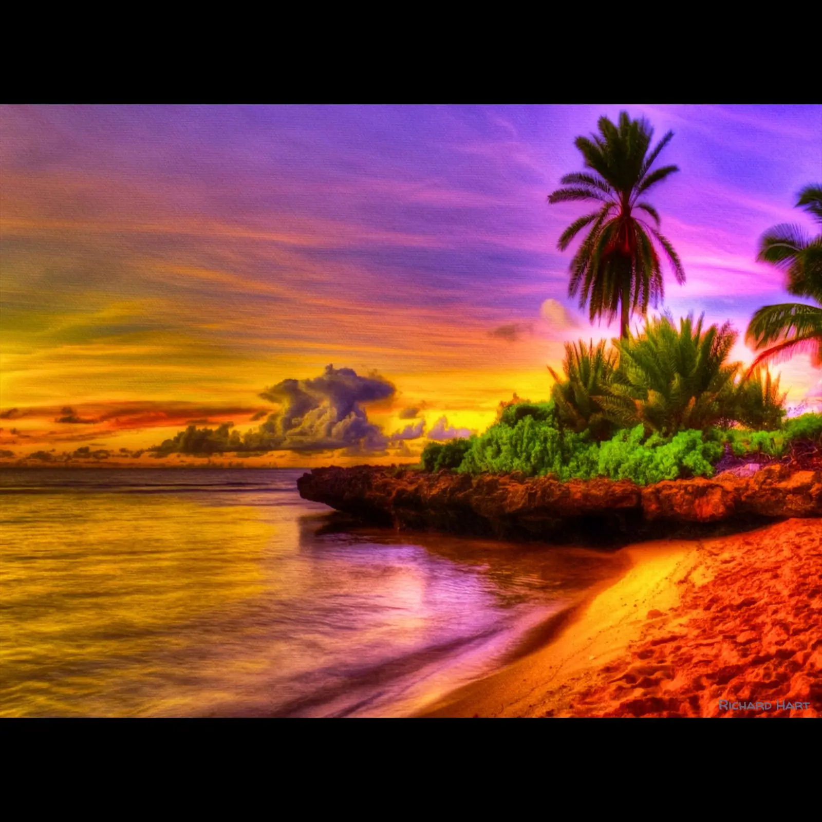 Beach_Scene-Viv-reb