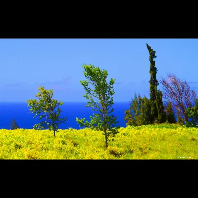 Highway near KoleKole Beach Park (2021)