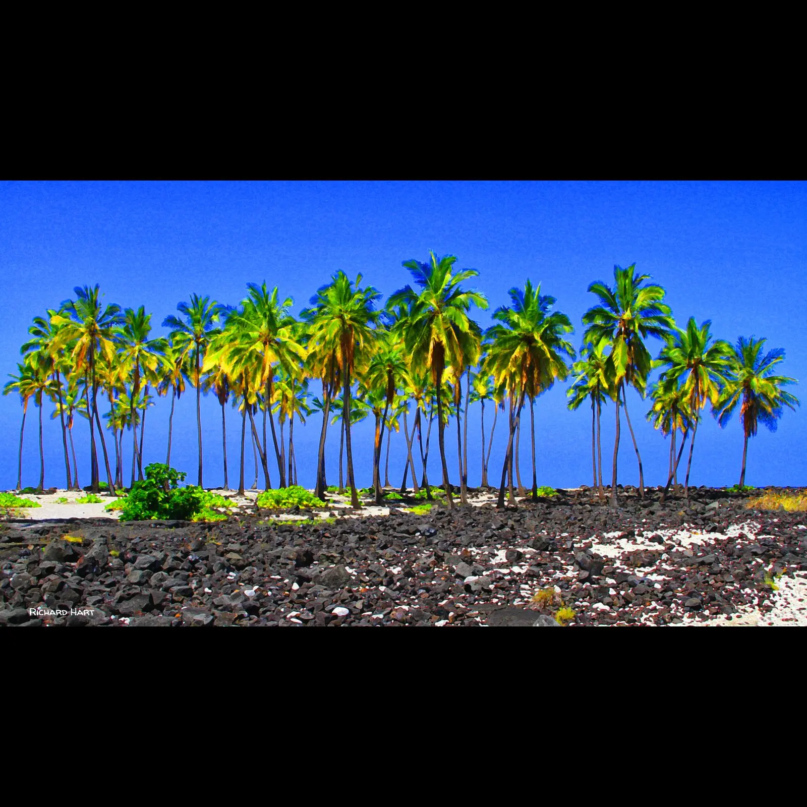 Honaunau-2