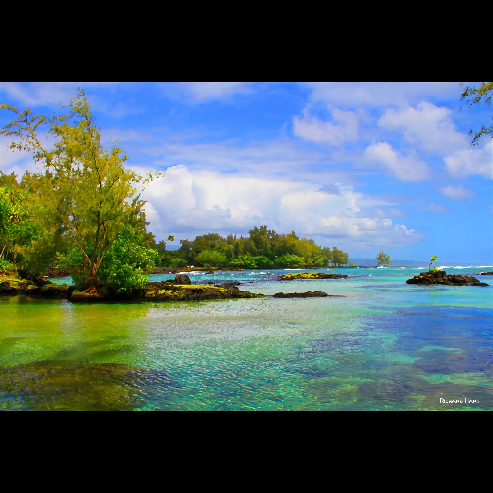 Kealoha Carlson Island 1