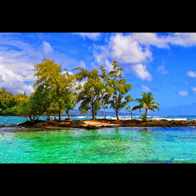 Kealoha Carlson island 2