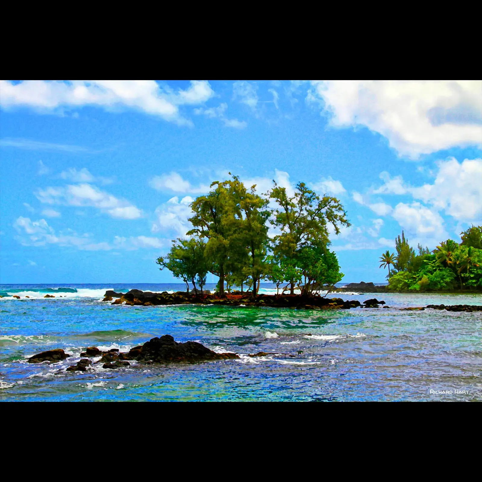 Kealoha Carlson Island 3