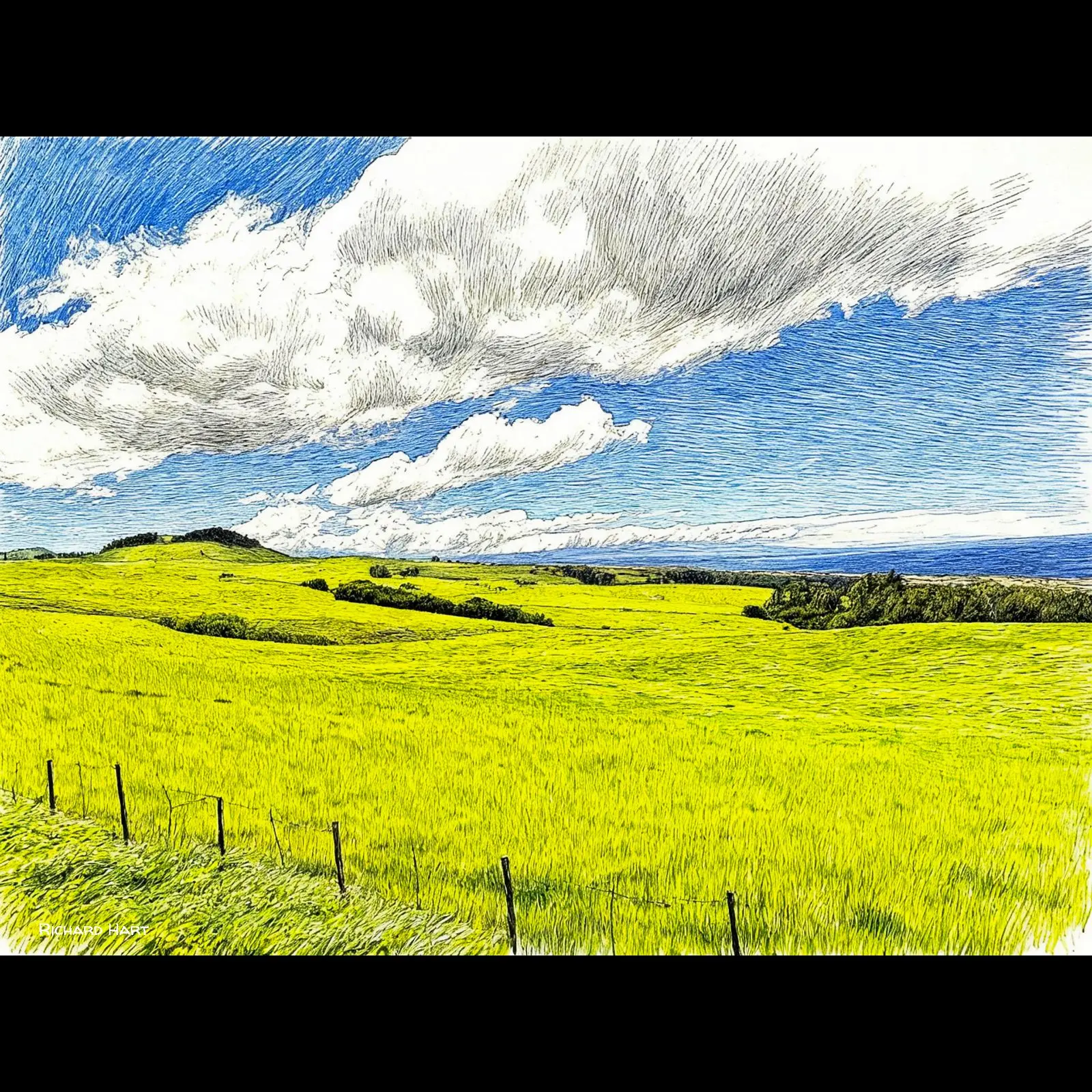 Kohala Fences PLD 