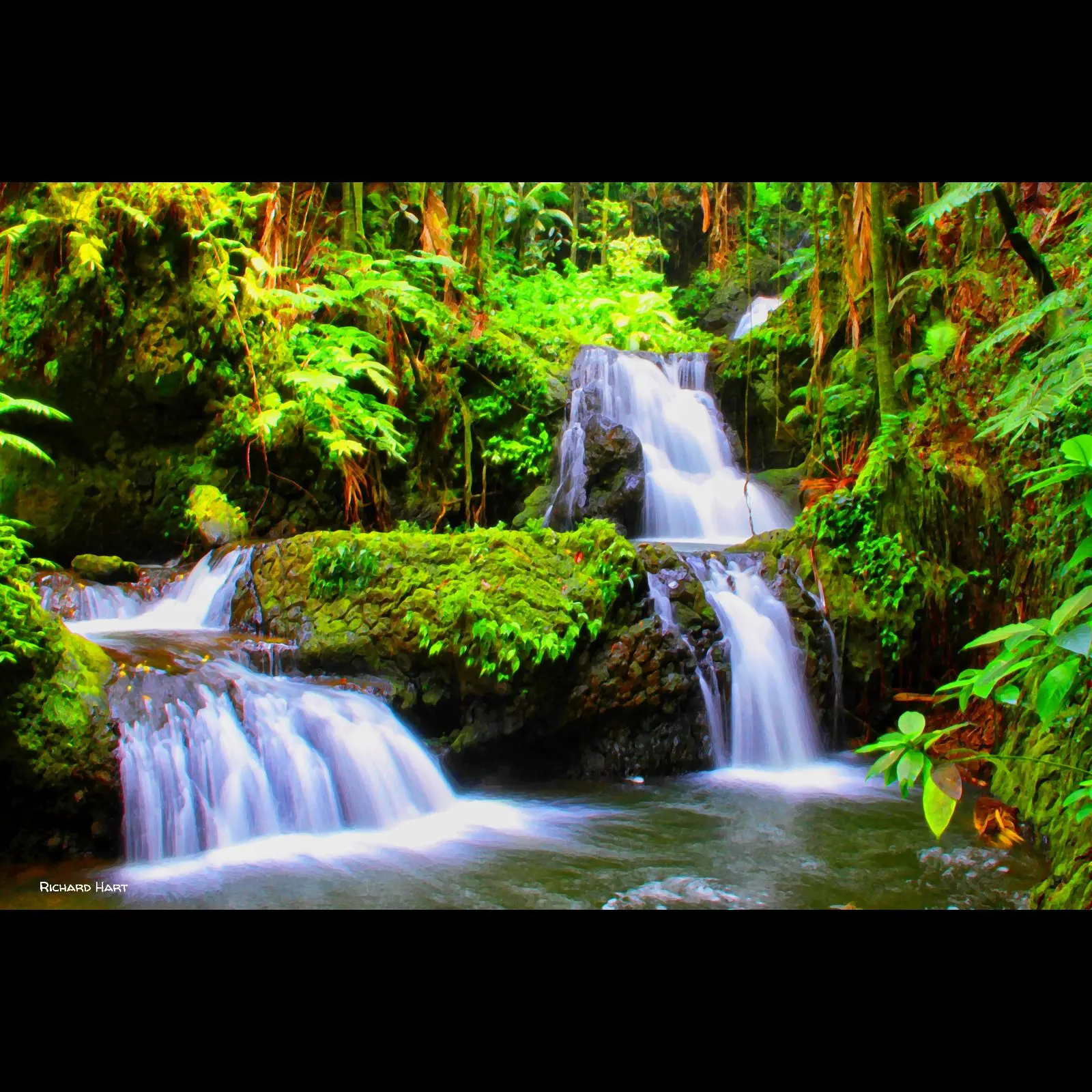 Onomea waterfall
