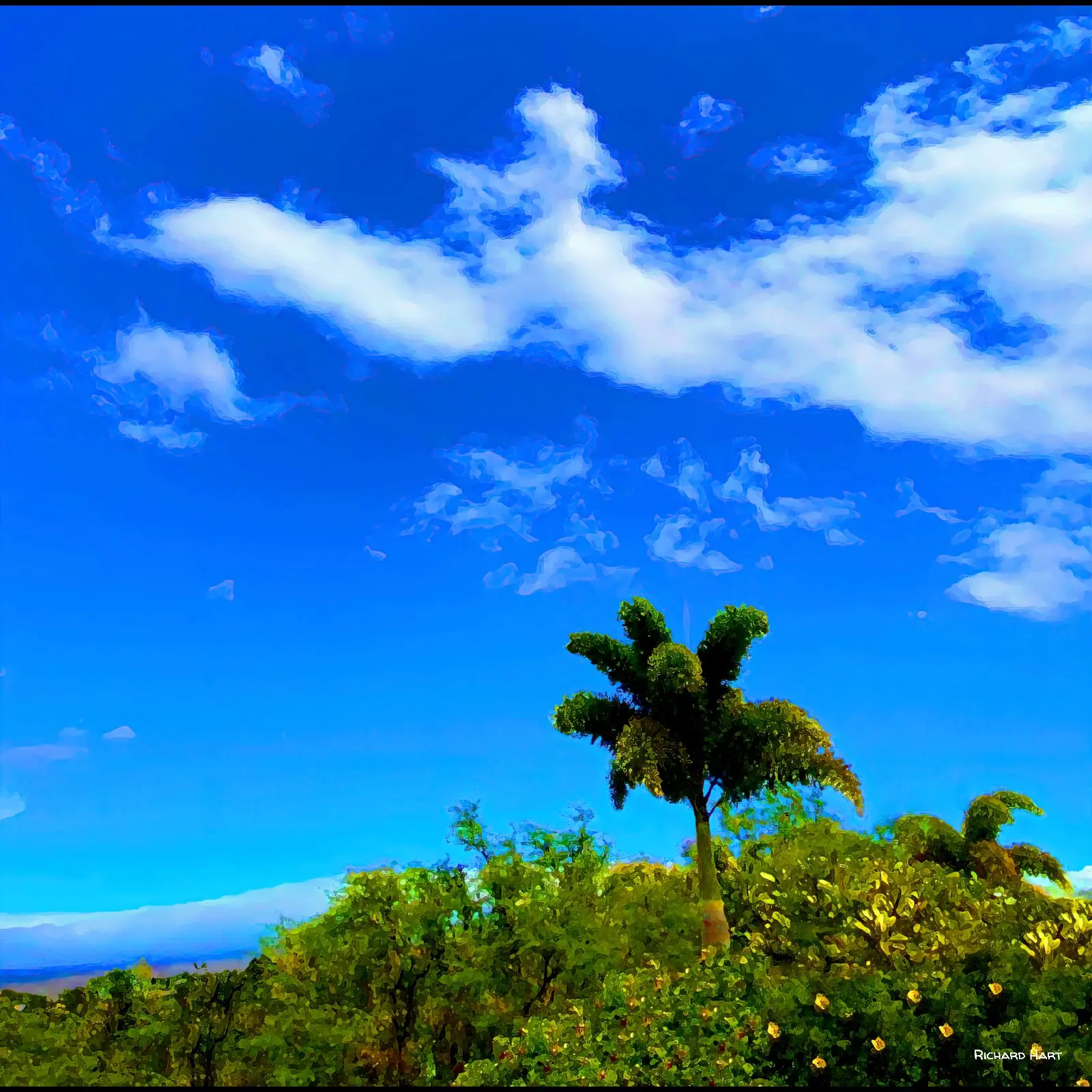 The Green Island