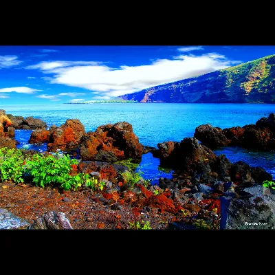 The view from Kapuhukapu