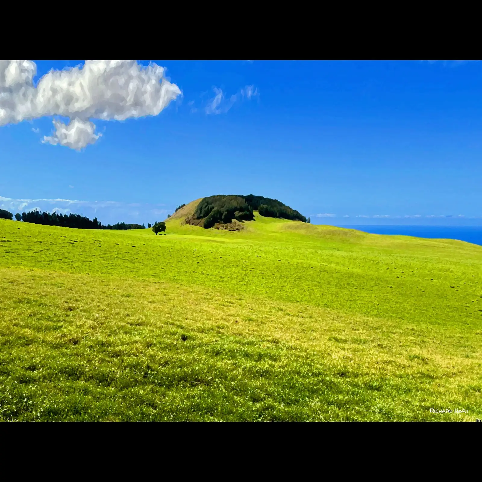 Vista Kohala 1