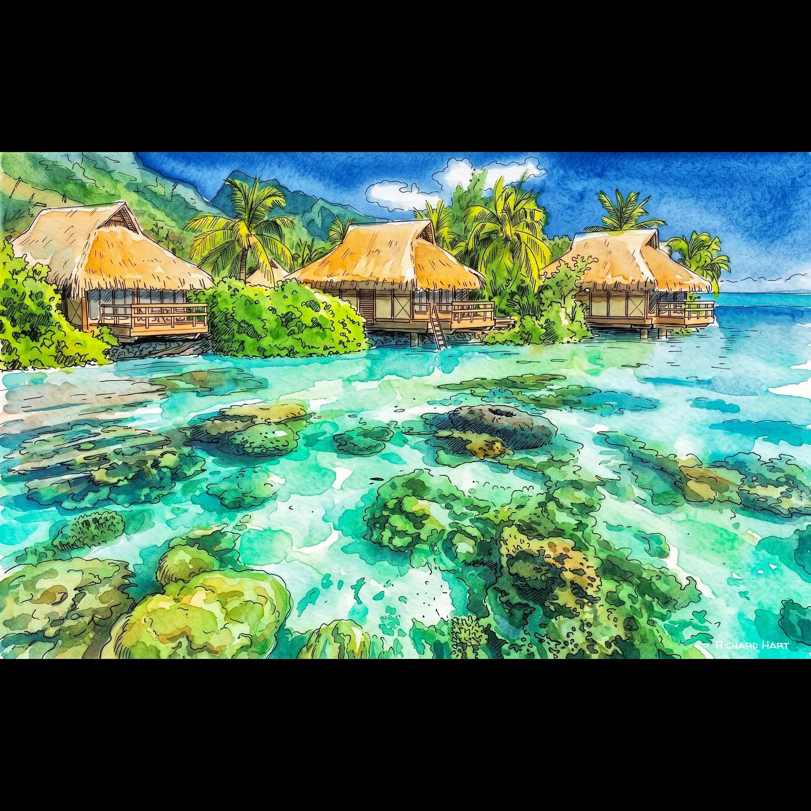 Bayside Homes