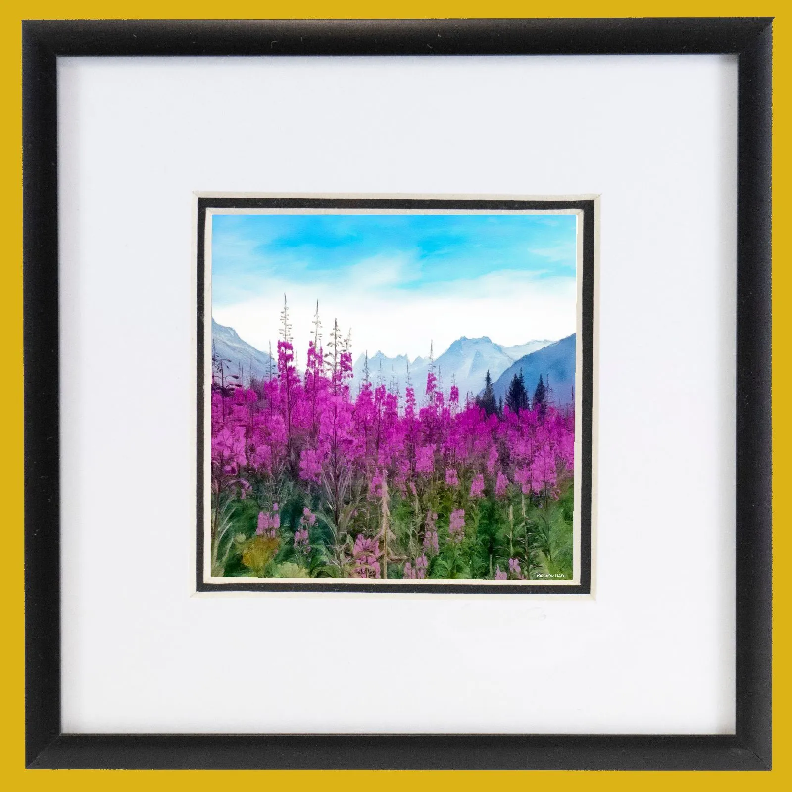 Alaskan Fireweed