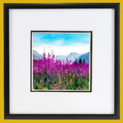 Alaska Fireweed