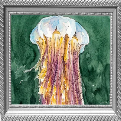 Jellyfish J109