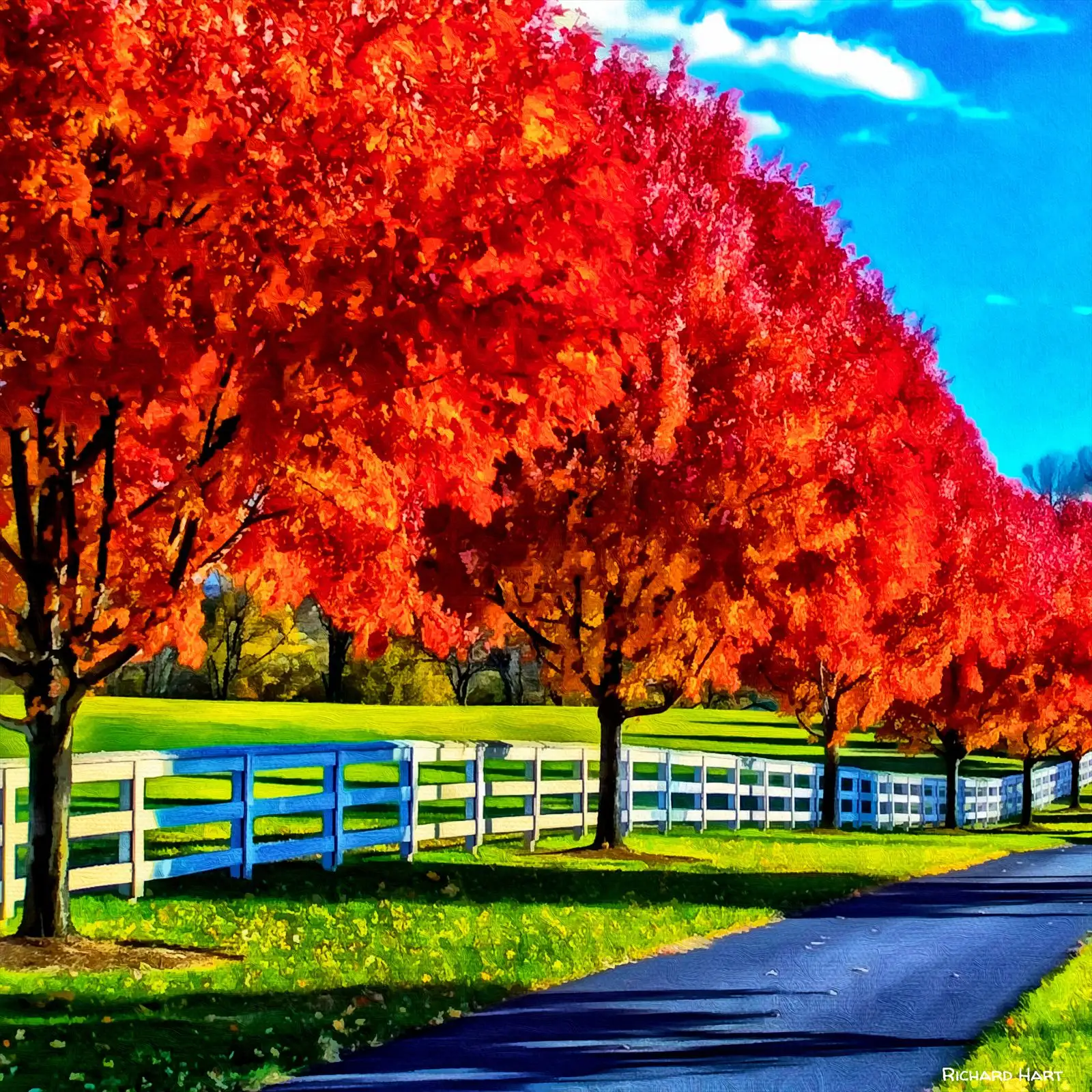 Autumn Maples (2024)