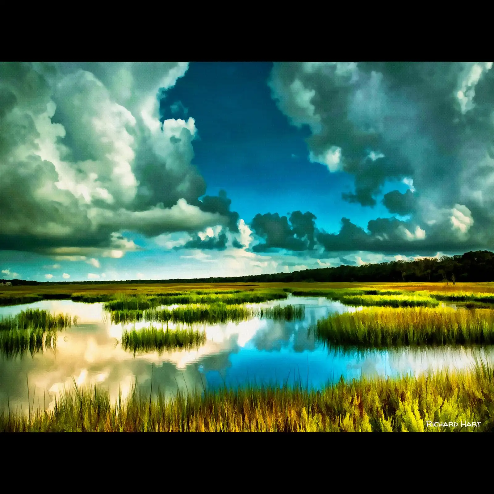 Estuary Tide (2025)