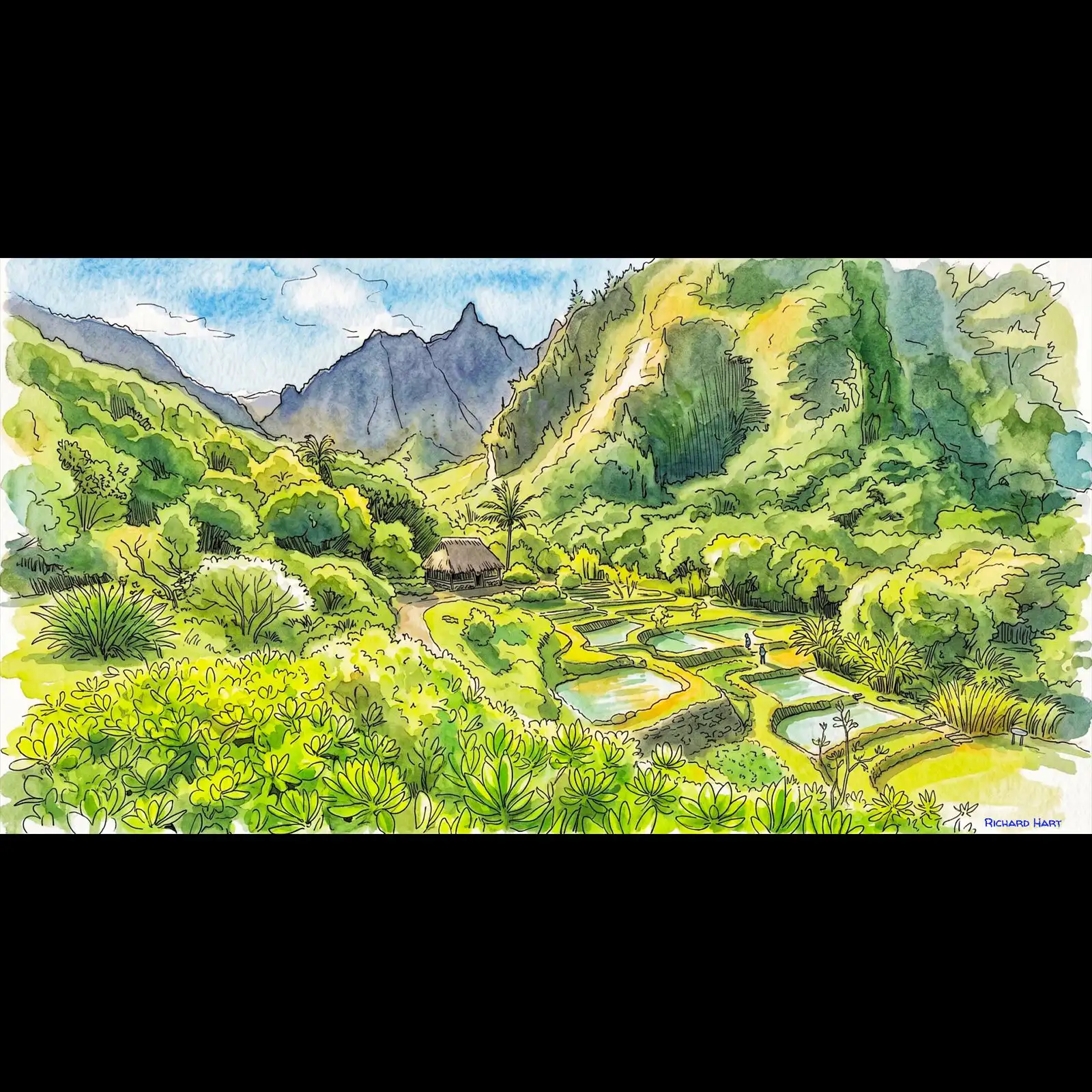 fasci garden io view pwc_Richard_Hart