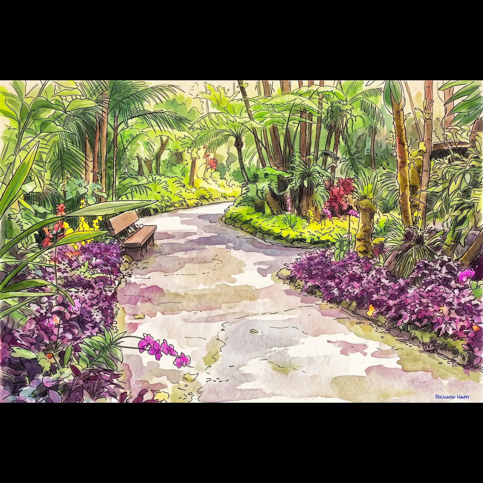 path at htbg_Richard_Hart