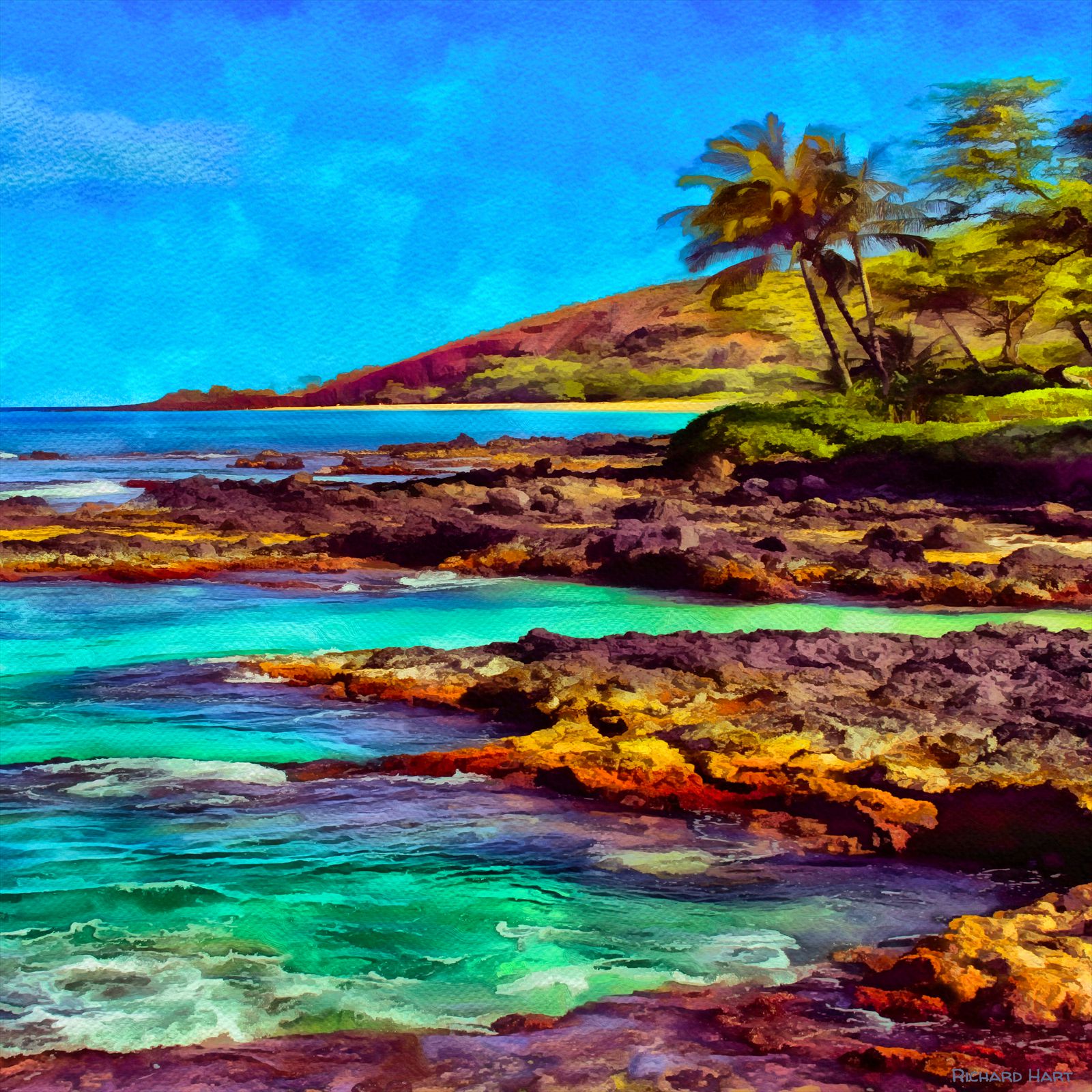 Sleepy Bay (2026)