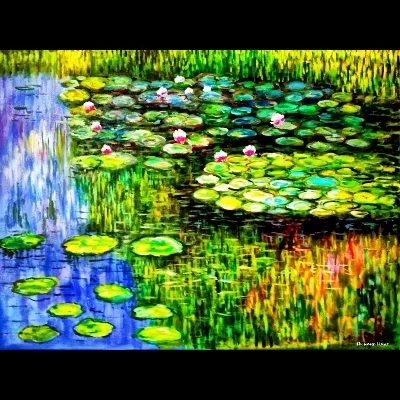 Lily Pond