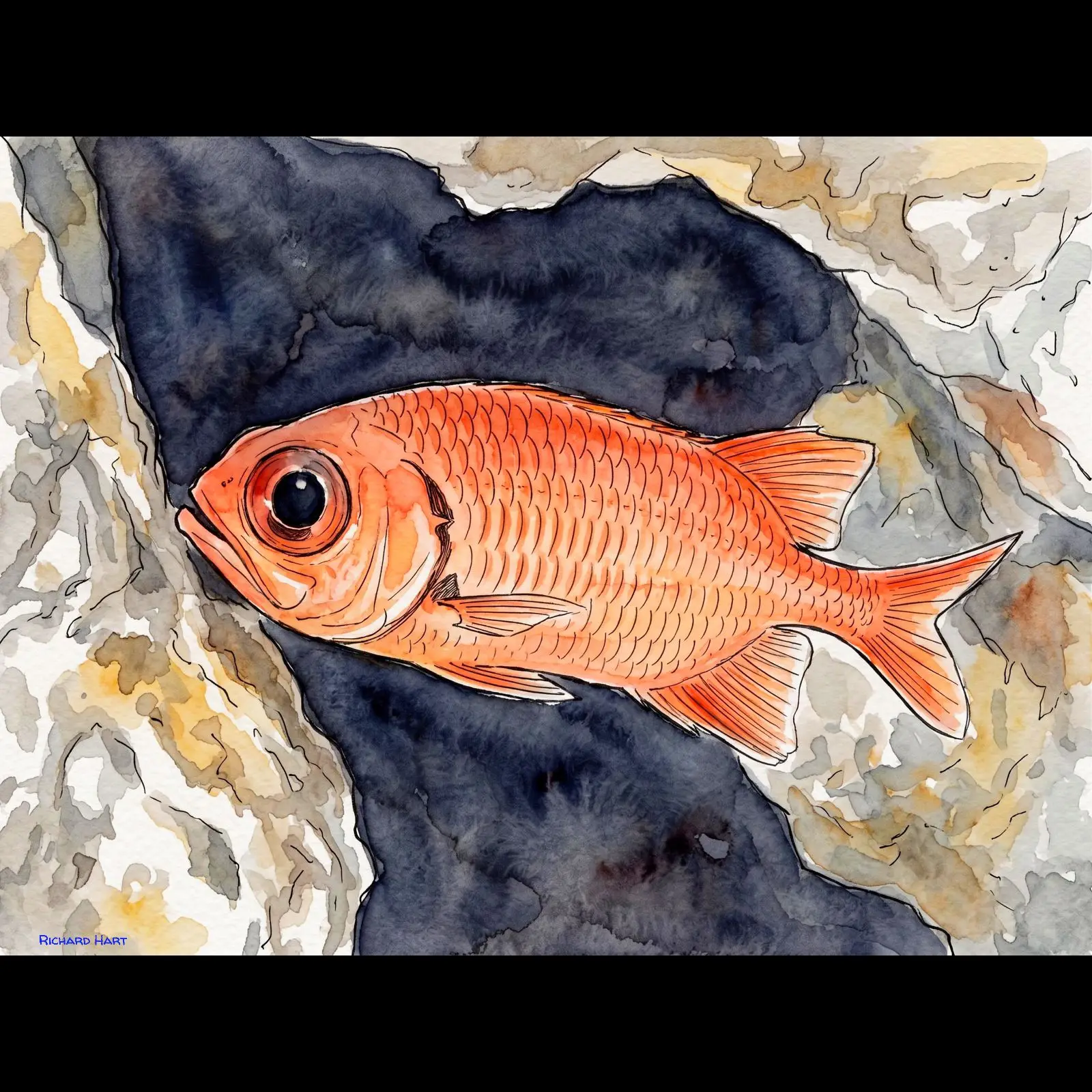 Blackbar Soldierfish