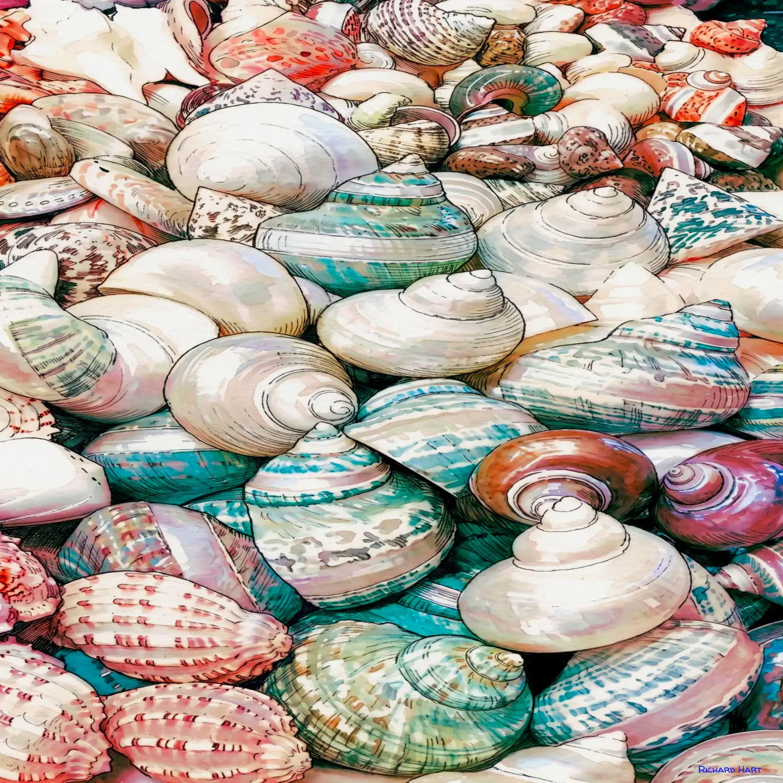 Colorful Collection 57