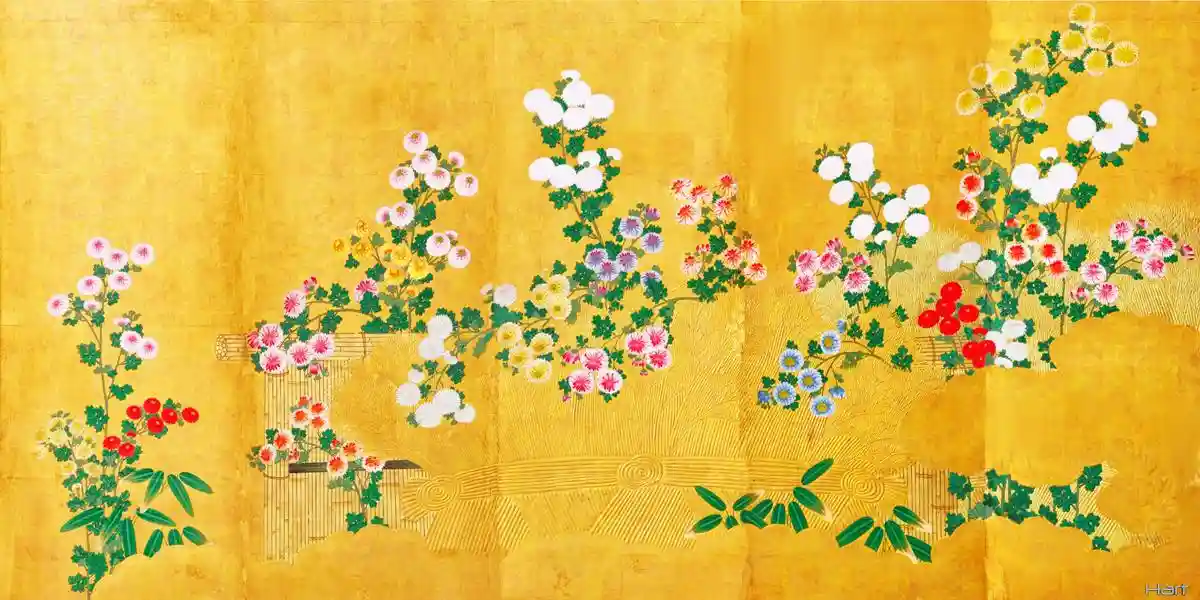 Chrysanthemums blooming in a Garden Richard Hart