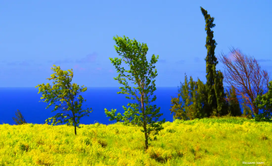 Highway Near Kolekole Beach Park