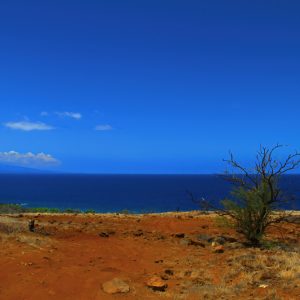 Red Dirt of Kaiholena by Richard Hart (2021)