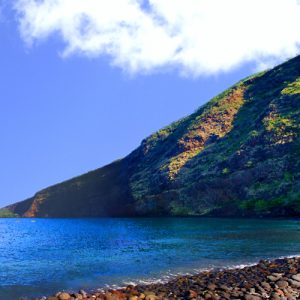 The View from Kealakekua Bay State Park - North by Richard Hart