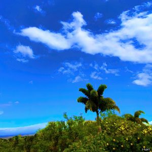 The Green Island by Richard Hart