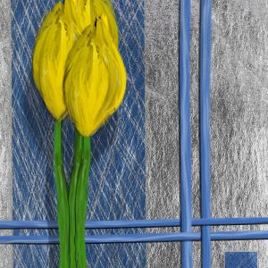 Regal Bearded Iris by Richard Hart