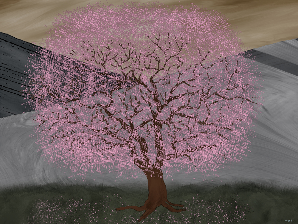 Cherry Tree Blossoms by Richard Hart